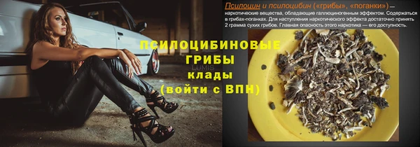 ПСИЛОЦИБИНОВЫЕ ГРИБЫ Алексин